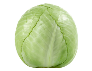 Repollo blanco
