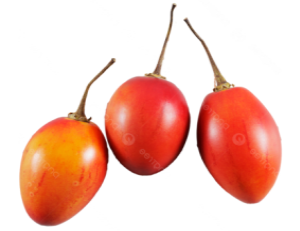 Tomate de árbol