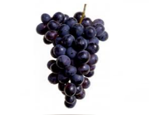 Uva Roja